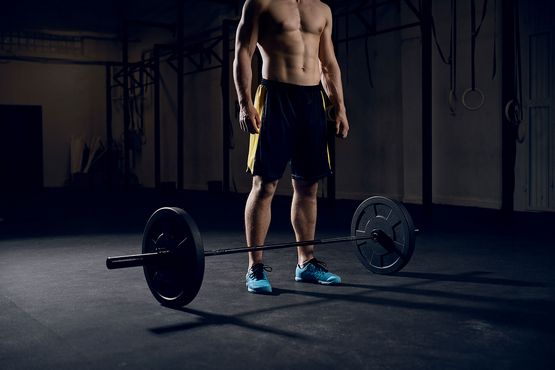 Curso a Largo Plazo para Ganar Masa Muscular: Anapolona + Boldenona o Primobolan Curso a Largo Plazo para Ganar Masa Muscular: Anapolona + Boldenona o Primobolan